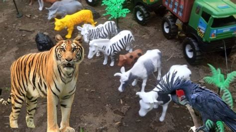 WADIDAW TRUK OLENG ANGKUT HARIMAU BADAK SAPI ZEBRA KAMBING