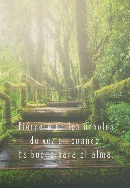 Total Imagen Frases Sobre Bosque Abzlocal Mx