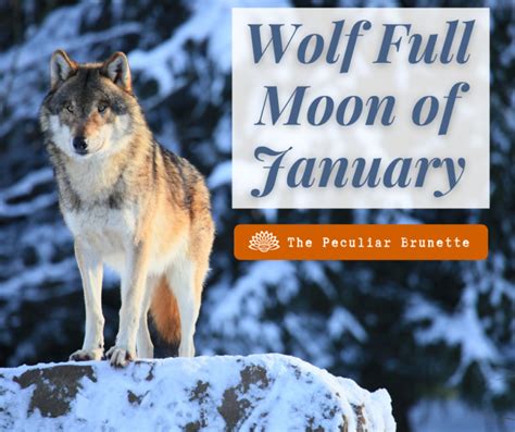 Wolf Full Moon January Magical Spiritual Meaning And How To