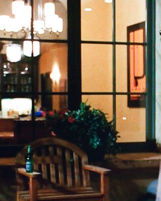 Is Pubic Hair Coming Back In Fashion Porn Pictures XXX Photos Sex Images PICTOA