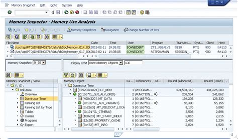 Abap Debugger Analyzing Memory Usage Of Your Programs