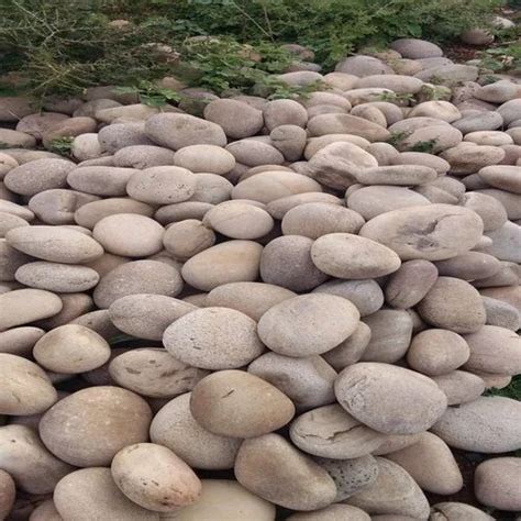 White Landscaping Pebble Stone At Rs Kg Pebble Stone In Raasi