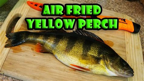 Catch And Cook Cooking Yellow Perch Fish In Air Fryer Youtube