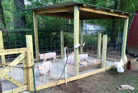 Pig Pen Ideas Design Talk
