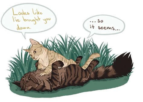 So It Seems By Annmy Warrior Cats Books Warrior Cats Funny Warrior Cat Memes