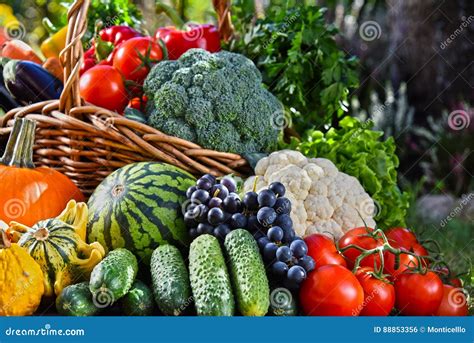 Variety Of Fresh Organic Vegetables And Fruits In The Garden Stock