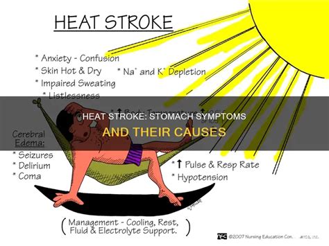 Heat Stroke Stomach Symptoms And Their Causes Medshun