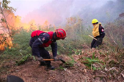 Reconoce México El Valor Y La Entrega De Sus Combatientes Forestales