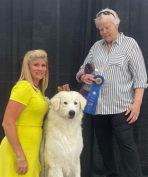 Kuvasz Club Of America Designated Specialty Monday June 7 2023