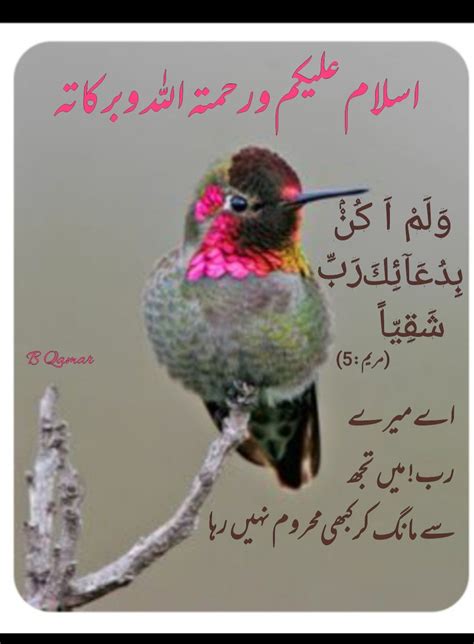 Pin By Qamar Bushra On Assalamualeikum In Urdu Dua In Urdu Islam