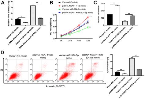 Long Noncoding Rna Neat Inhibits The Acetylation Of Pten Through The