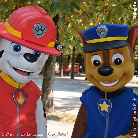 Sky And The Cartoon S Park Paw Patrol 42 45 Sky And The Cartoon S Park