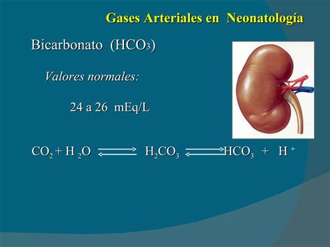 Interpretacion De Gases Arteriales En Neonatologia Ppt