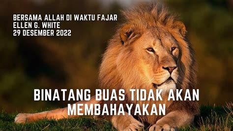 Renungan Pagi Bersama Allah Di Waktu Fajar Des Binatang