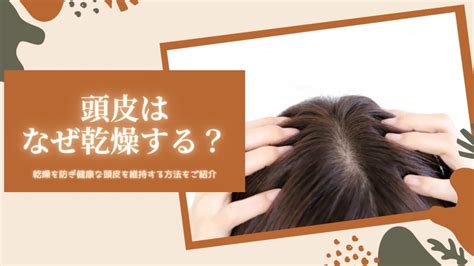 頭皮が乾燥する原因・健康な頭皮を維持するための方法も解説