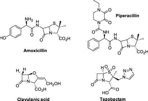 Chemical Structure Of B Lactam Antibiotics And B Lactamase Inhibitors