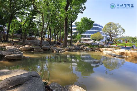 Pusan National University