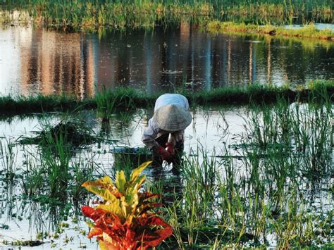 H Y I Ph T Nh Hai Hot Boy Ng I Th Y Vi T Nam C A Ch Ng M Nh P Nh Th N O