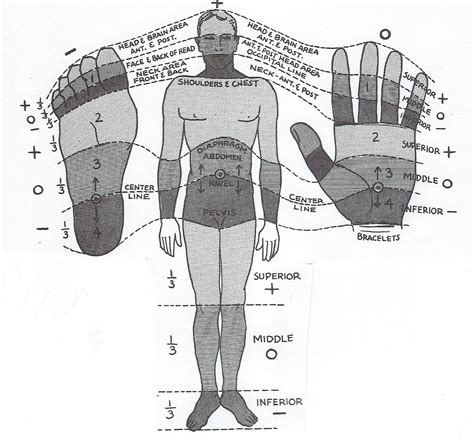 Polarity Therapy Ian Rawlinson Lac