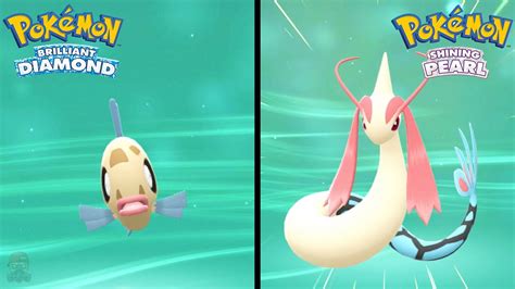 How To Find Feebas Evolve Into Milotic In Pokemon Brilliant Diamond