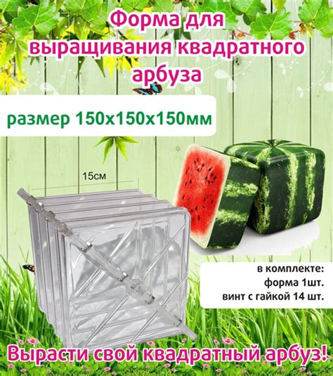 Форма для выращивания фигурных овощей - купить по выгодной цене в ...
