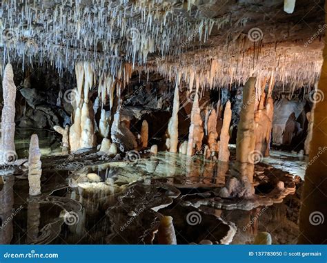 Buchan Caves Stalactites And Stalagmites Stock Photo Image Of Caves