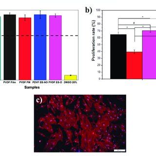 A Cell Viability Of Control L Cells In Contact With The