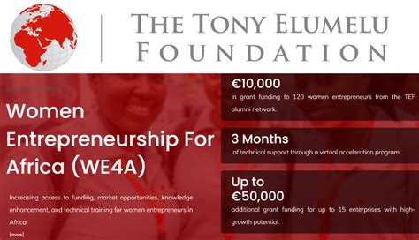 Apply For The Tef Women Entrepreneurship For Africa We A Program