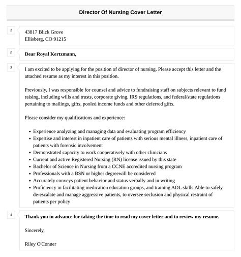 Director Of Nursing Cover Letter Velvet Jobs