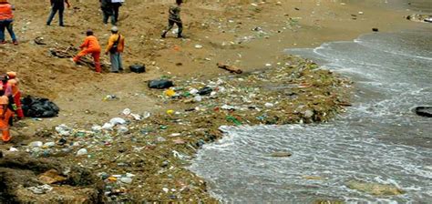 Unas 800 Toneladas De Basura En Playas De Santo Domingo