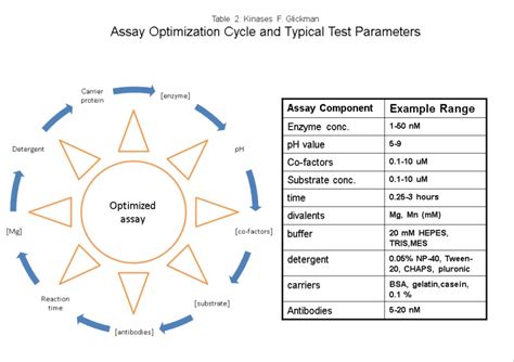 Assay Development For Protein Kinase Enzymes Assay Guidance Manual