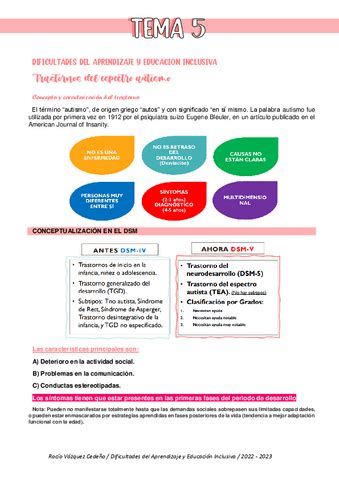 Tema Concepto De Educacion Inclusiva Pdf