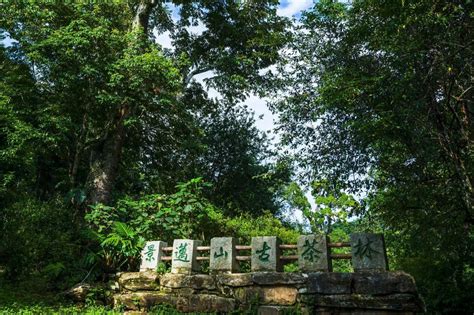 “普洱景迈山古茶林文化景观”申遗成功，有何重要意义？ 文旅头条