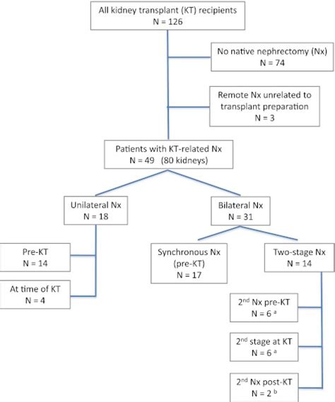 Summary of patients and nephrectomy procedures. aOne patient each had ...