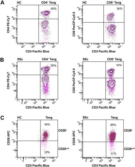 Analysis Of Circulating Angiogenic T Cell Tang Subsets In Healthy