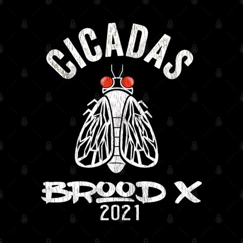 2021 Cicada Brood X Shirt Cicadas Phenomenon Cicada Pin Teepublic