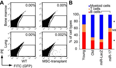 Growth Differentiation Factor 6 Derived From Mesenchymal Stem Stromal Cells Reduces Age Related