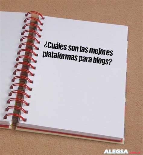 Cu Les Son Las Mejores Plataformas Para Blogs