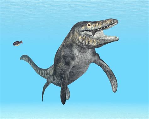 check   tylosaurus  marine reptile dino digest