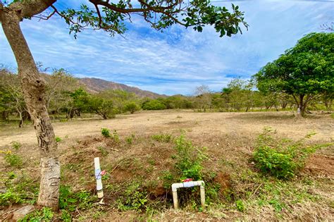 Vistas De Flamingo Lot 25 Large Forested Plot Of Land Minutes From