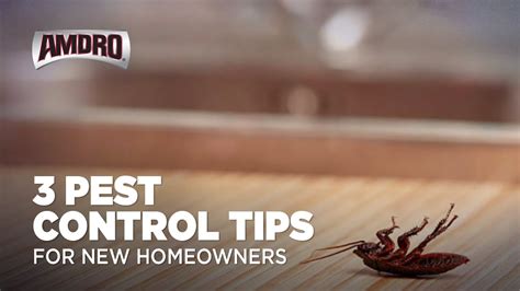 Pest Control Tips For New Homeowners YouTube