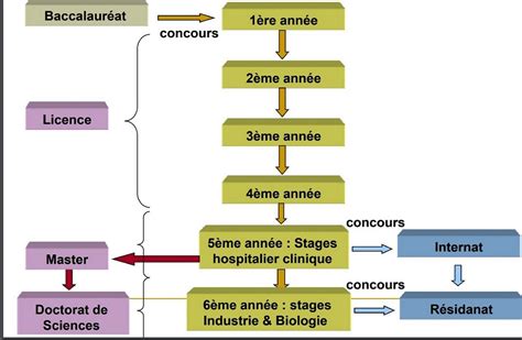 Etudes De Pharmacie Laformation Ma