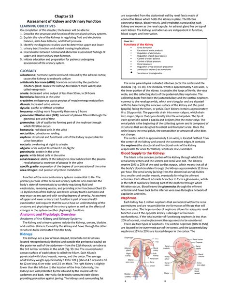 Chapter 53 Assessment Of Kidney And Urinary Function Explain The Role