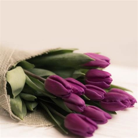 Send Purple Tulips Our Purple Tulips In A Bouquet To Kuwait