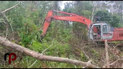 CARA EXCAVATOR HITCHI LAND CLEARNG DI HUTAN RIMBUN YouTube