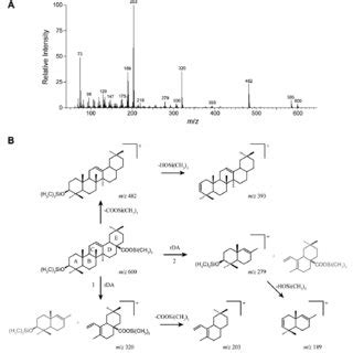 Oleanolic Acid Inhibits Cervical Cancer Hela Cell Proliferation Through