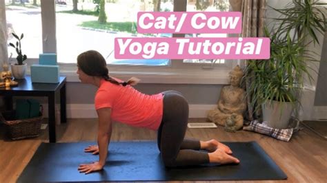 How To Do Cat Cow Yoga Pose Yoga For Beginners Youtube