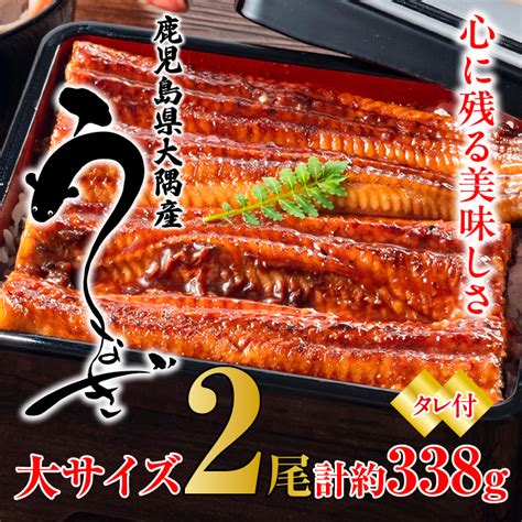 国産 うなぎ蒲焼き 鹿児島産 約169g×2本入 有明淡水 鹿児島特産品の通販・お取り寄せなら鹿児島ここまる