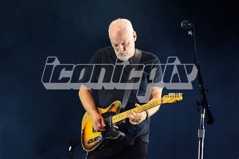 David Gilmour Iconicpix Music Archive