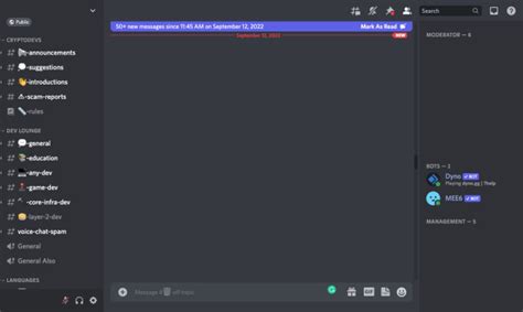 create  professional discord server  maxbabayan fiverr